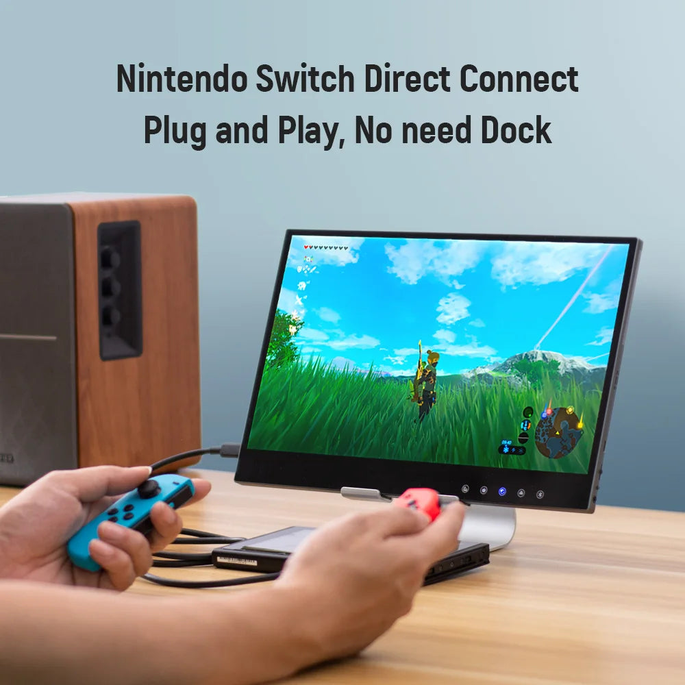 Premium 15.6 Inch OLED Capacitive Touch Portable Monitor