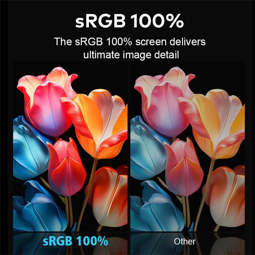 Premium Dual Screen Portable Monitor